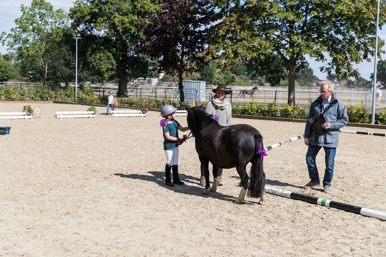 Bild 187 - Pony Akademie Turnier